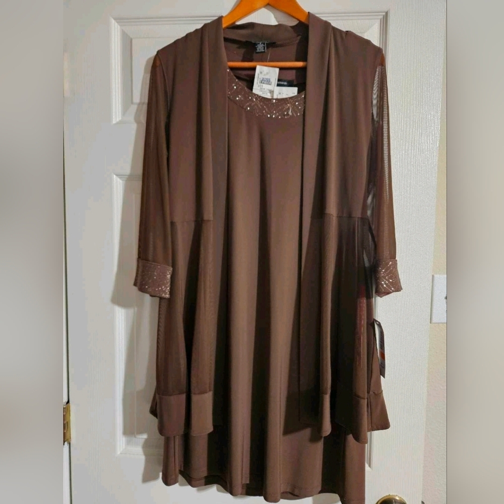 NWT Brown Dress with Sheer Sleeve Overlay